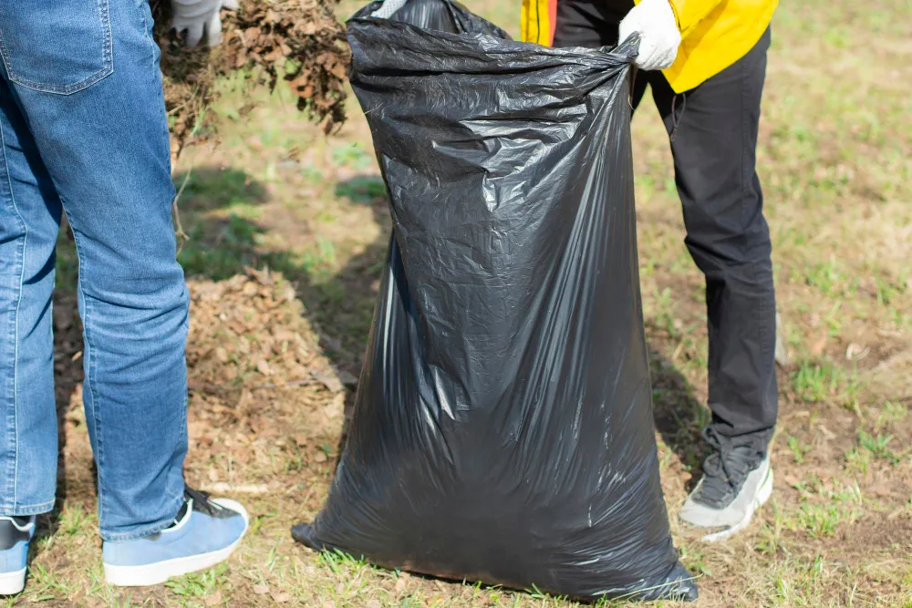 Garden Waste Removal