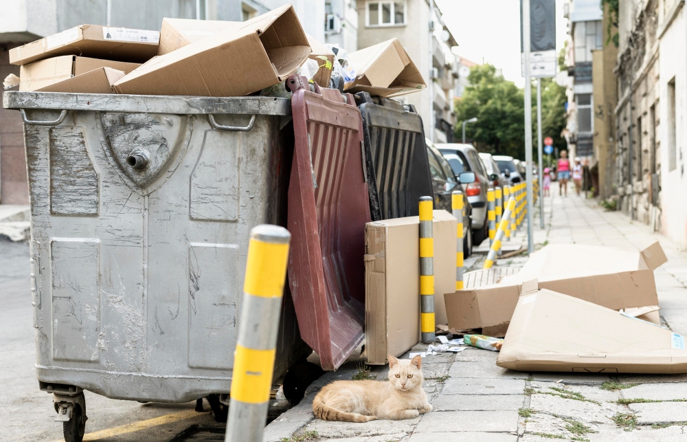 rubbish removal services
