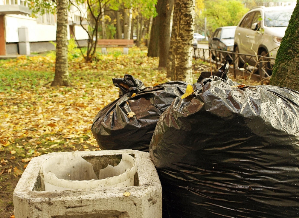 Garden Waste Disposal