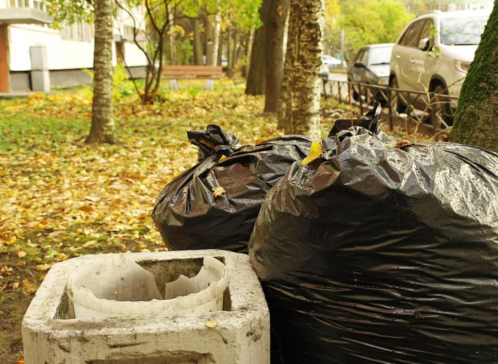 Garden Waste Disposal