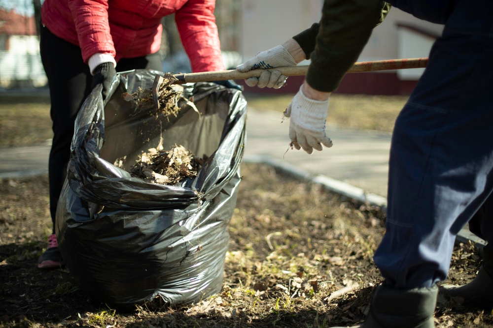Garden Waste Removal 